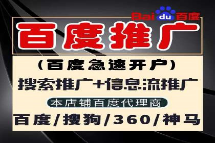 SEM专员如何通过数据分析优化广告投放